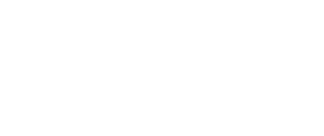 Auriga Ticketing